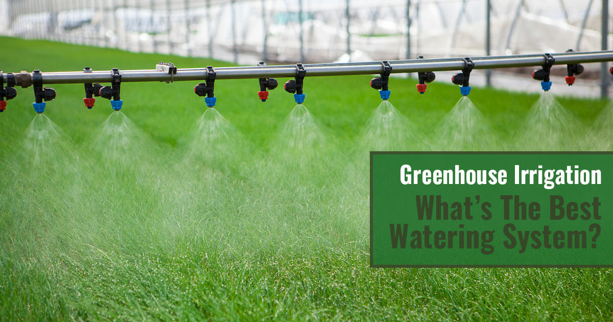 Irrigation system activated with blue and red spray nozzles dispensing water over grass, text in green box says Greenhouse Irrigation - What's The Best Watering System?