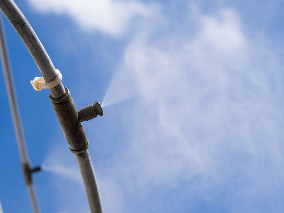 Tubing of a greenhouse irrigation system with two misting nozzles spraying water like mist into air and blue sky in background