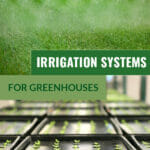 Image of over-head sprinklers in a greenhouse and self-watering trays in rows with seedlings with the text overlay: Irrigation Systems for Greenhouses