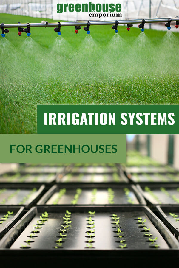 Image of over-head sprinklers in a greenhouse and self-watering trays in rows with seedlings with the text overlay: Irrigation Systems for Greenhouses