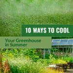 Misting system and plants with text 10 Ways to Cool Your Greenhouse in Summer