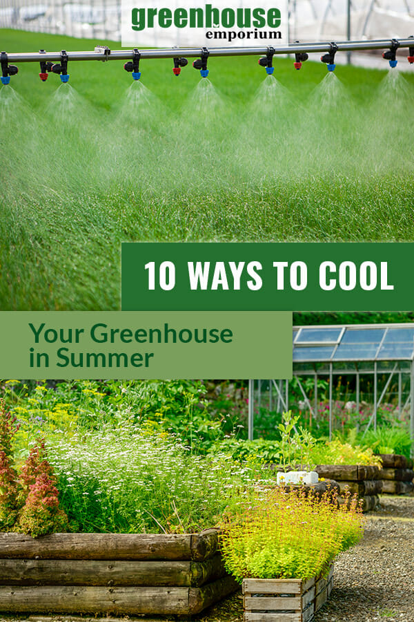 Misting system and plants with text: 10 Ways to Cool Your Greenhouse in Summer