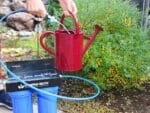 GrowMax Water Eco Grow 240 in a garden with someone filling a red watering can from it