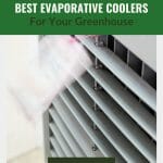 Evaporative cooler blowing out air with the text: Beat the Heat - Best Evaporative Coolers For Your Greenhouse