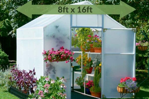 Greenhouse with A-frame roof, exterior view, plants in interior, text in green arrow with dimensions 8ft x 16ft