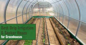 Inside a tunnel greenhouse with drip irrigation system installed in raised beds and the text: Best Drip Irrigation & Soaker Hoses for greenhouses