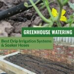 Drip irrigation and soaker hose in a raised bed with the text: greenhouse watering - best drip irrigation systems and soaker hoses