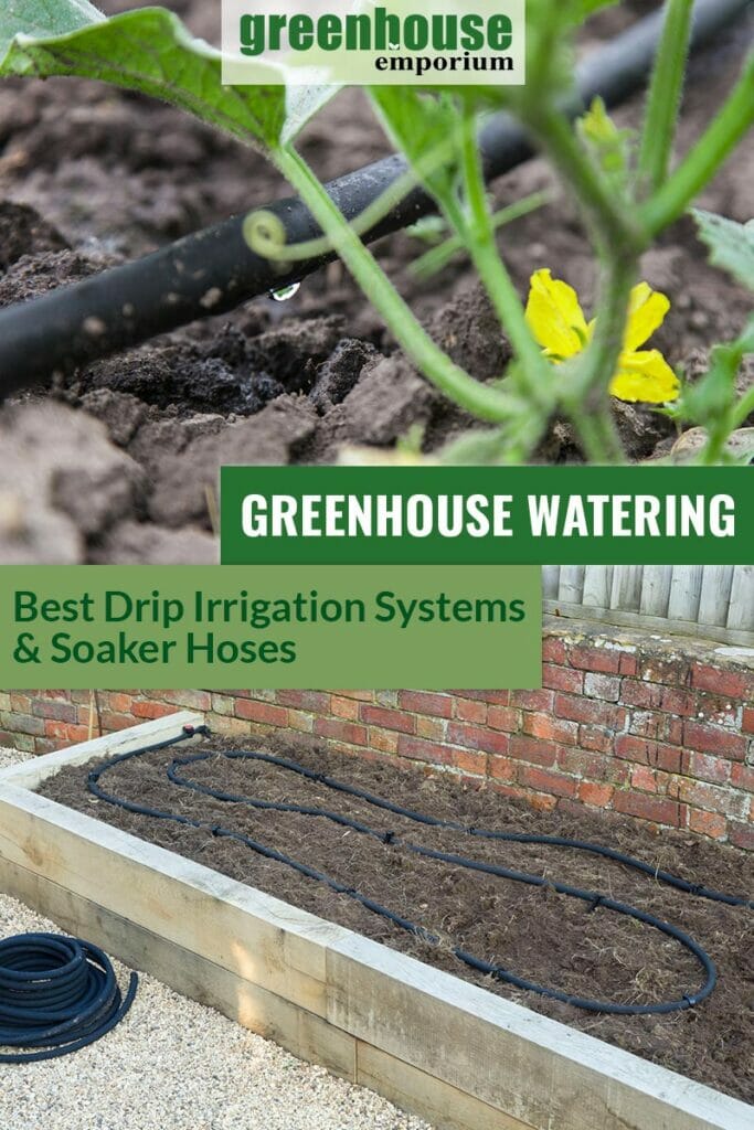Drip irrigation and soaker hose in a raised bed with the text: greenhouse watering - best drip irrigation systems and soaker hoses