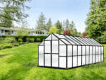 Exterior front and side view MONT Growers 8x20, black frame, polycarbonate panels, door closed, backyard setting