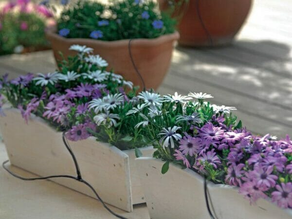 Monticello Growers Edition Greenhouse - drip irrigation system on flower pots