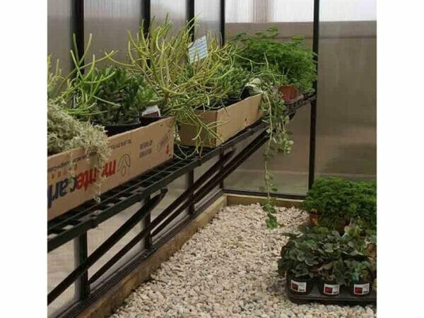 MONT Greenhouse Growers edition with plants and accessories