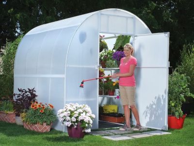Woman standing at open door of arched greenhouse, interior shelves filled with flowering potted plants, woman watering potted plant with extension sprayer