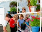 Woman and four children in interior of Conservatory greenhouse, blooming plants on wire shelves