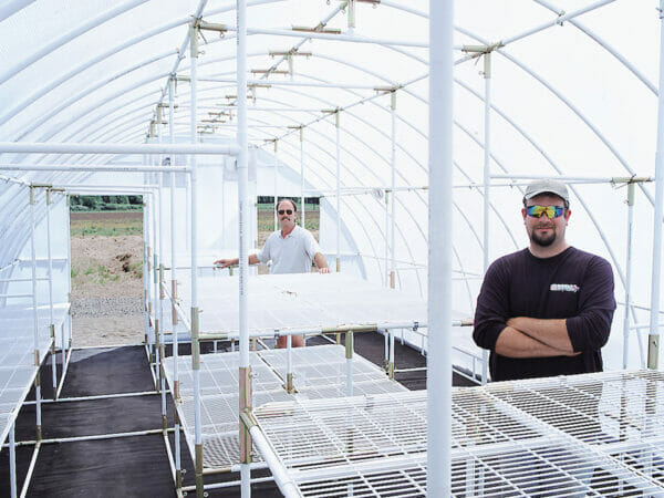 Interior of conservatory greenhouse, constructed wire shelving, white interior with two men standing inside plenty of head room