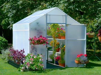 Exterior view of A-frame greenhouse, door open, shelves lined with plants visible in interior