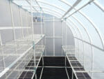 Interior of lean-to greenhouse, facing rear wall, both side walls lined with empty wire shelving