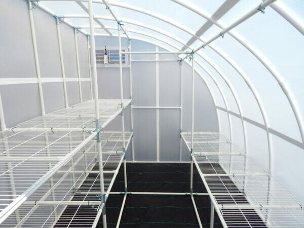 Interior of lean-to greenhouse, facing rear wall, both side walls lined with empty wire shelving