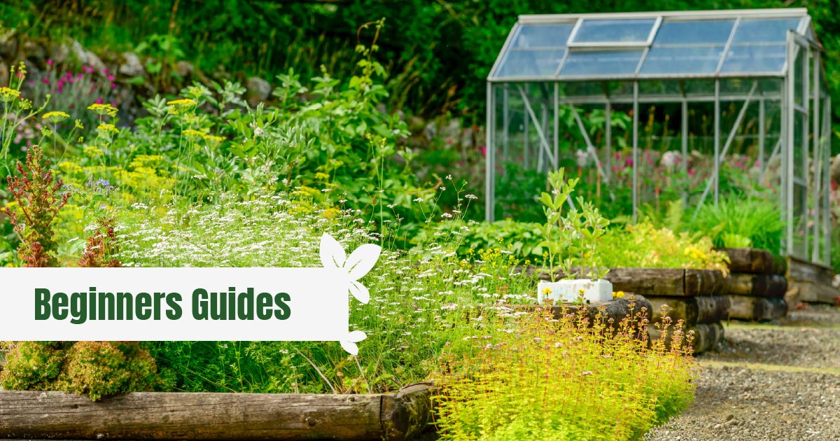 Small greenhouse in a lush garden with the text: Beginners Guides