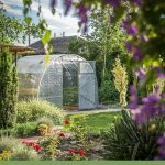 Image with purple flowers and garden in foreground, arched roof greenhouse in background, with text: Where is the Best Place to Set Up a Greenhouse?