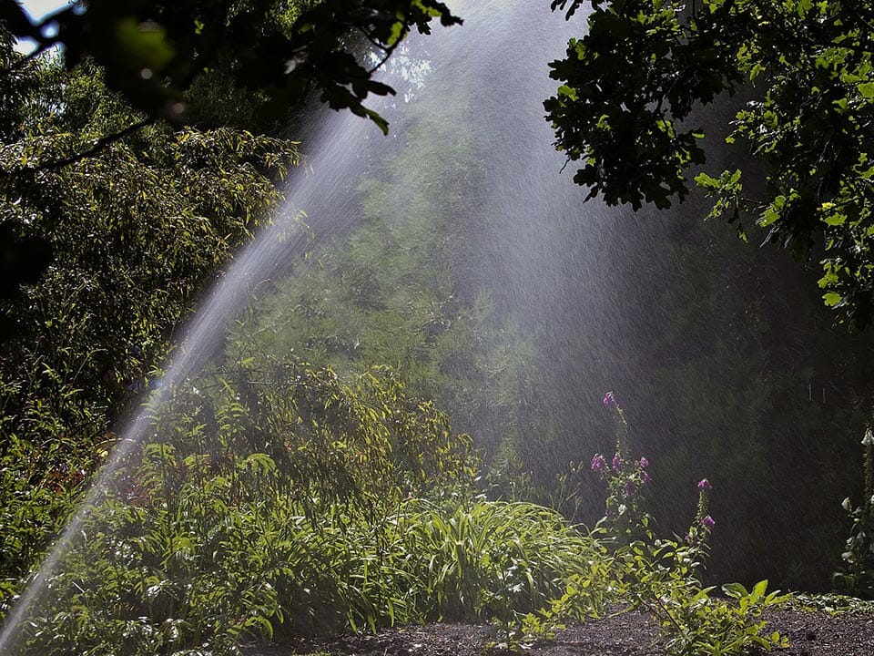 Water sprinkler in a garden