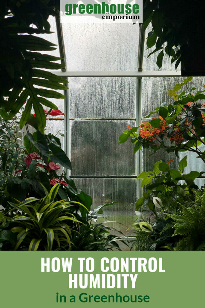 How to Increase Humidity in Greenhouse  