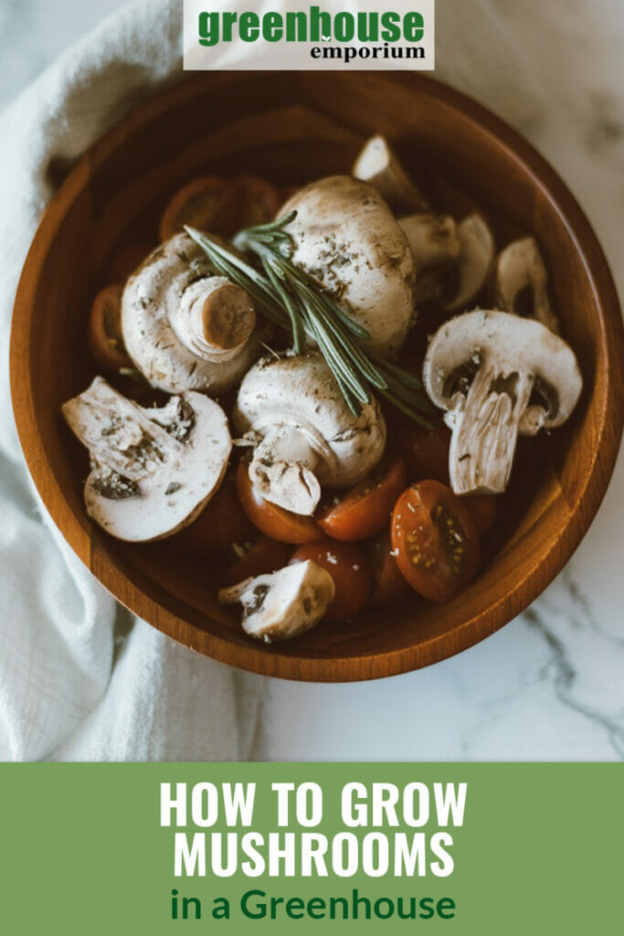 Wooden bowl on white tablecloth containing white mushrooms with tomatoes and rosemary herbs, with text: How to Grow Mushrooms in a Greenhouse