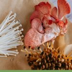 Colorful mushrooms on paper bag, with text: Growing Delicious Mushrooms in a Greenhouse