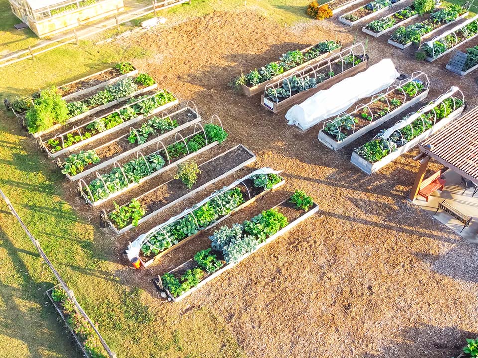 Using raised beds cold frames in hoop house style at a community garden