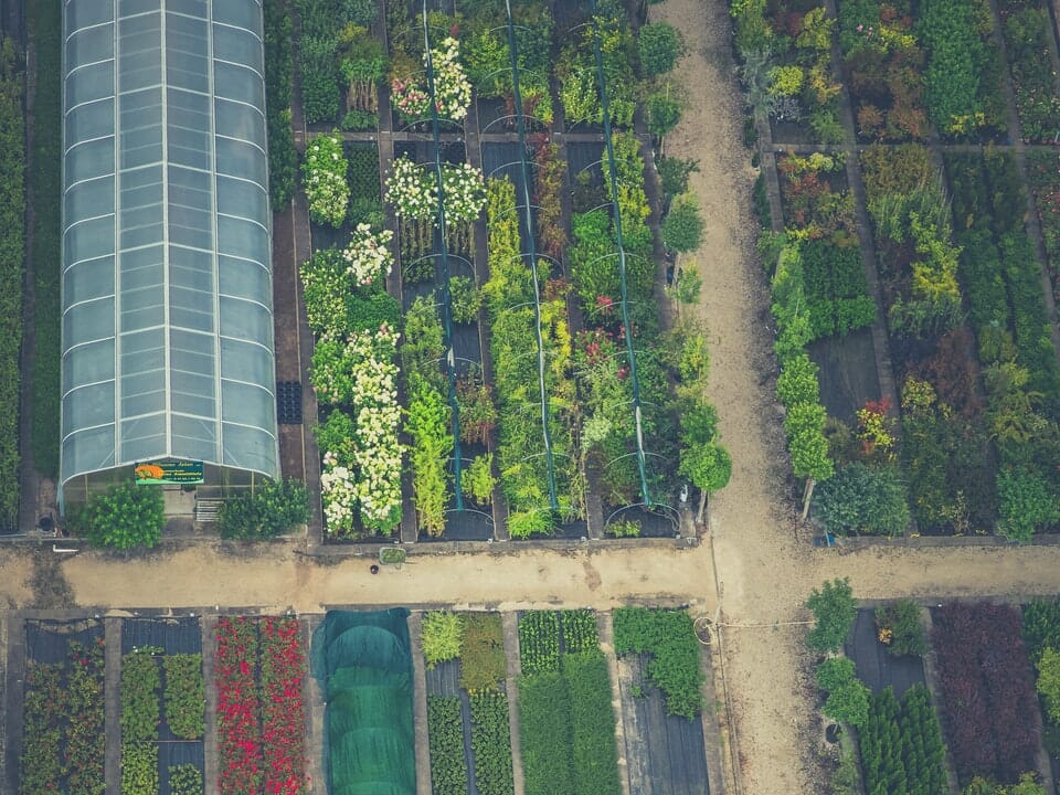 Aerial view greenhouse on land with many planting beds