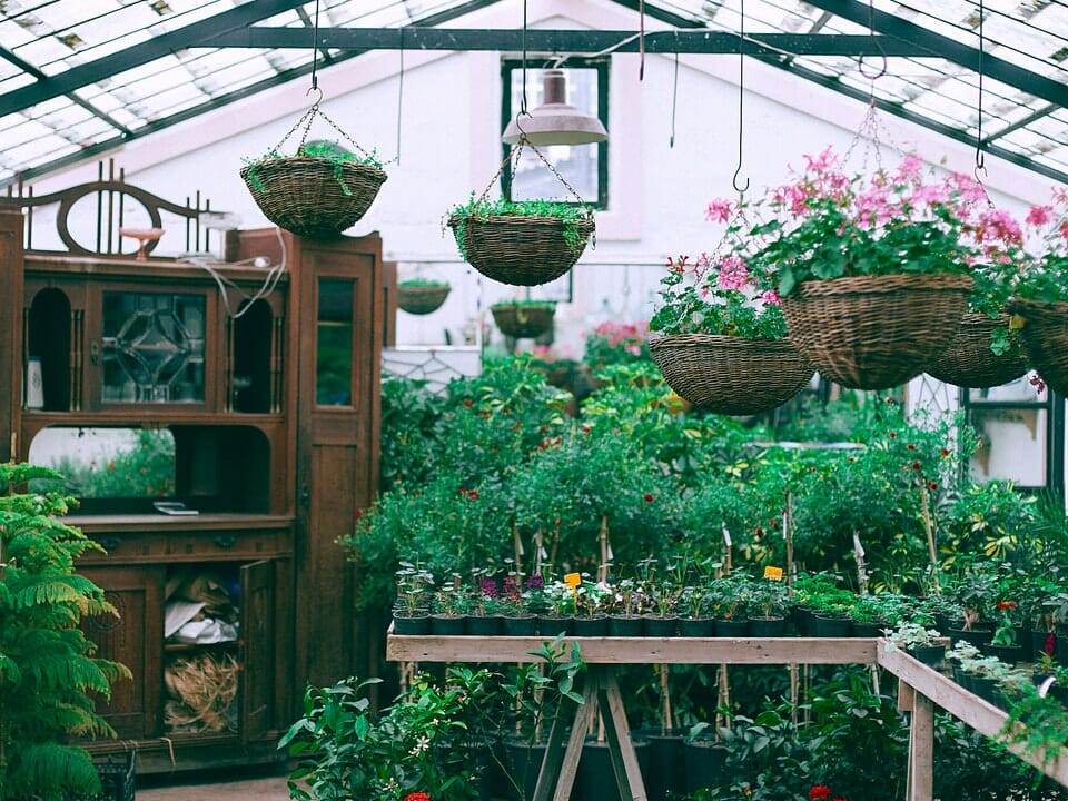 Interior view of greenhouse with planting beds and potting area with shelf