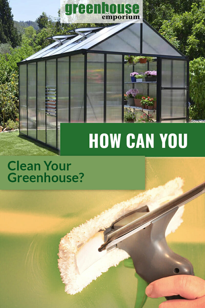 Top image greenhouse, bottom image squeegee tool on polycarbonate with text: How Can You Clean Your Greenhouse?
