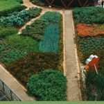 Geodesic dome greenhouse in garden with path leading to it, with text: 5 Factors to Consider How Do You Pick the Right Greenhouse?