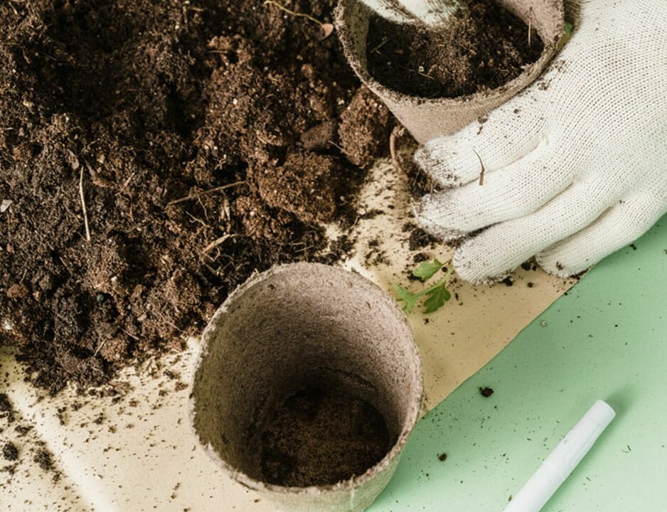 Gloved hands filling planting pots with potting soil