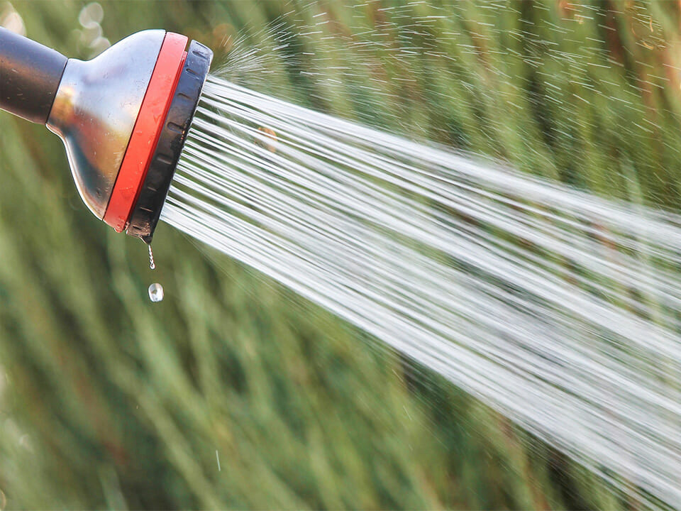 Water being expelled from a hose