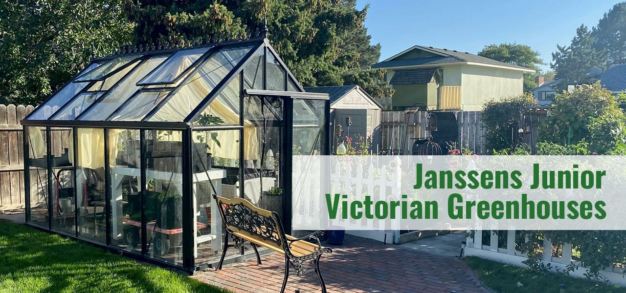 Black framed Victorian Greenhouse in a garden with the text: Janssens Junior Victorian Greenhouses