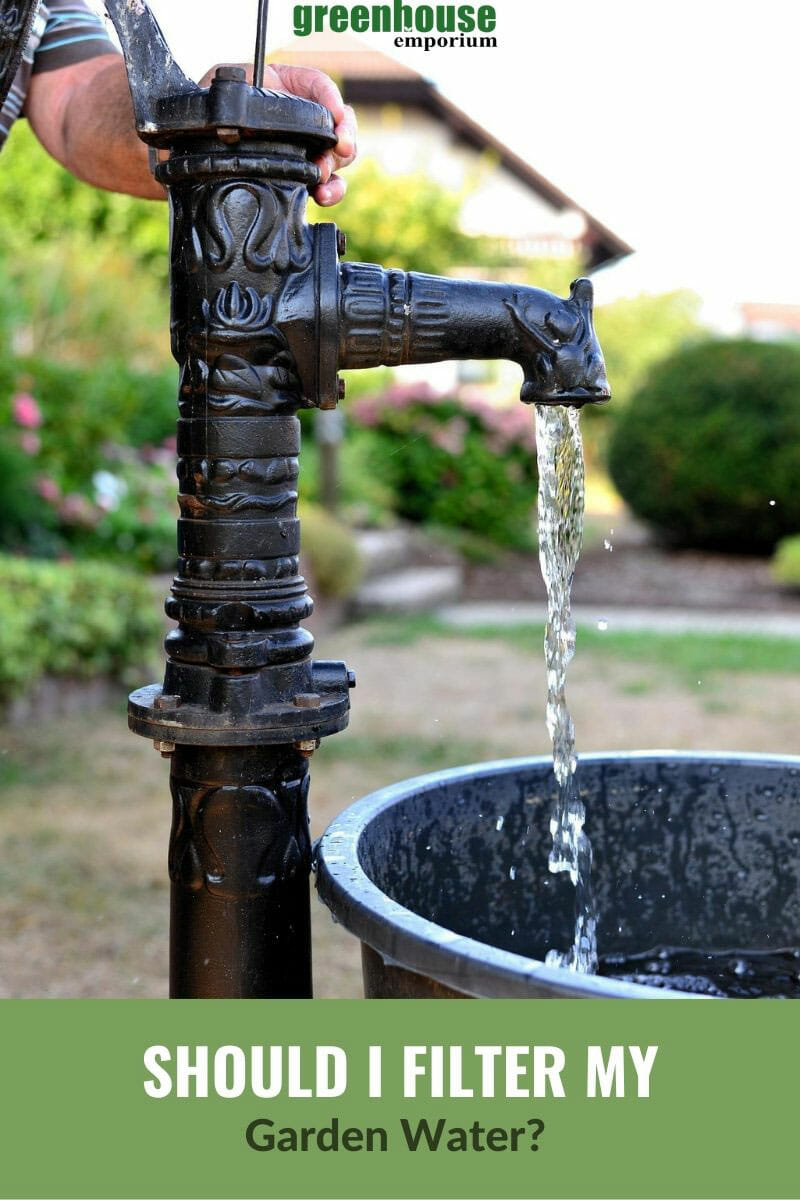 Well water being collected in a bucket with the text: Should I filter my garden water?