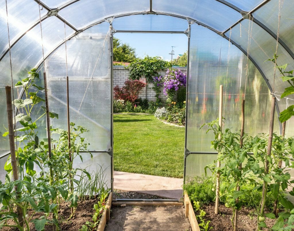 Interior of arched greenhouse looking to the exterior