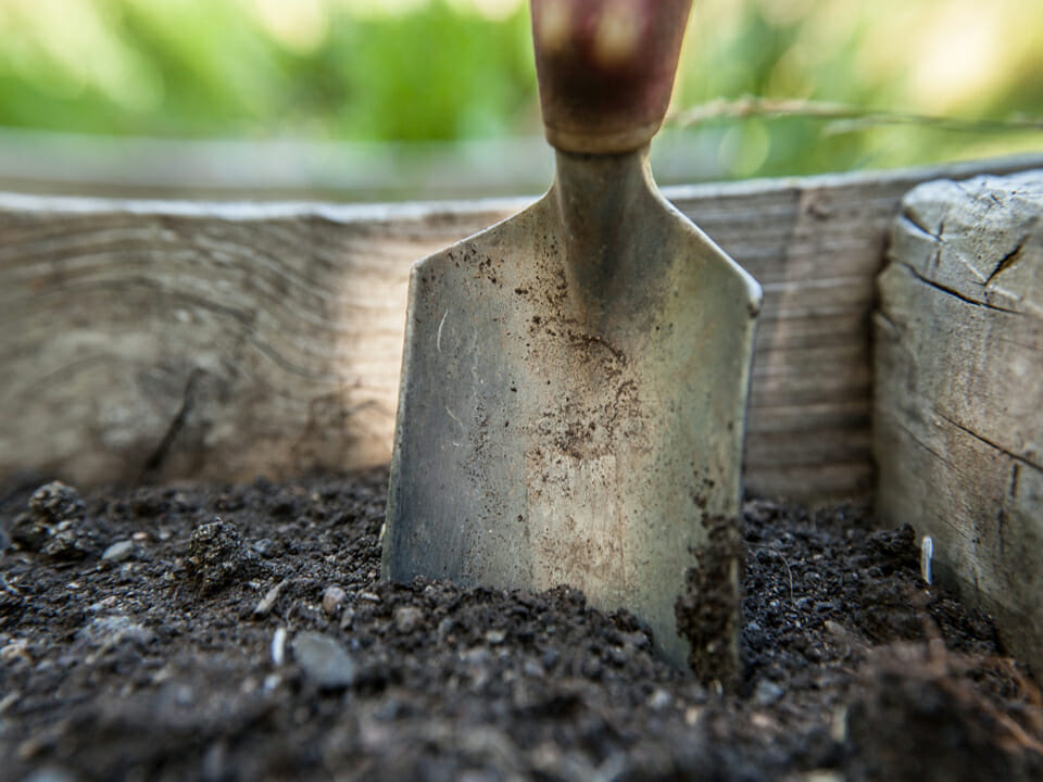 Shovel sitting in the dirt with wood in the background