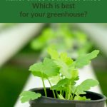 Plant in pot in hydroponic setup with text: Aeroponics vs Hydroponics Which is Best for your Greenhouse?