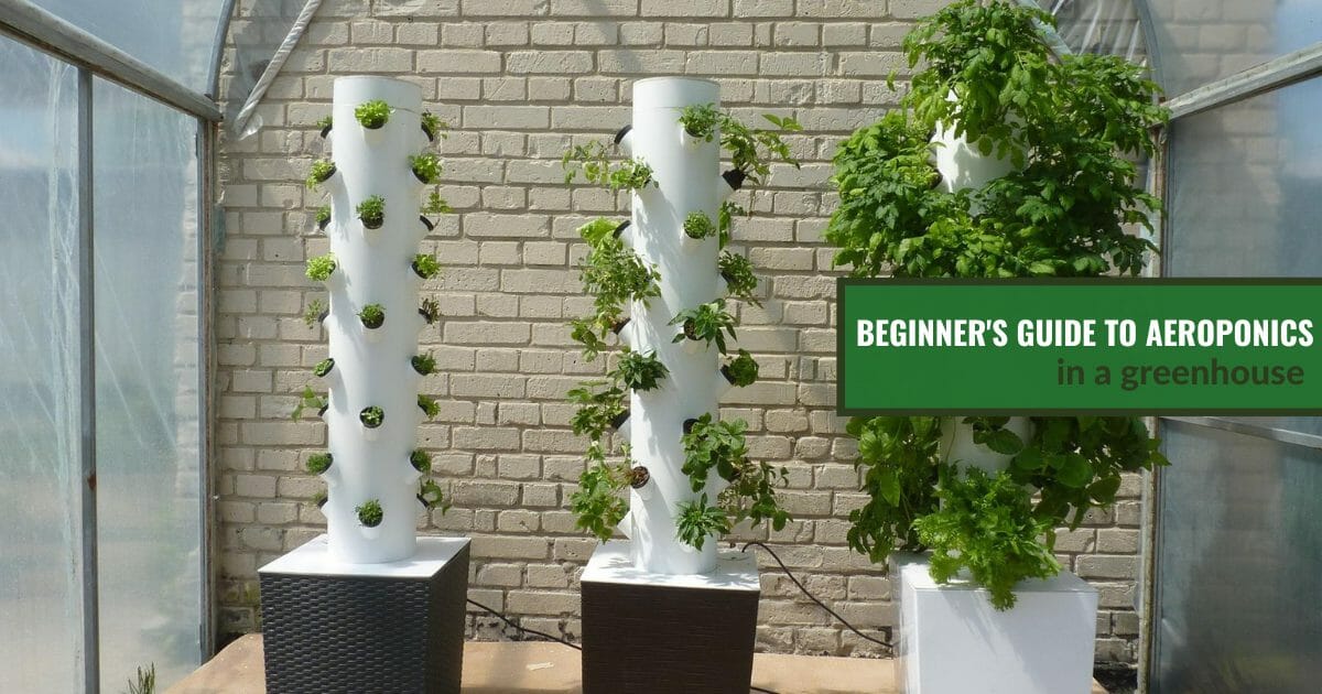 Aeroponics system with the text: Begginers guide to aeroponics in a greenhouse