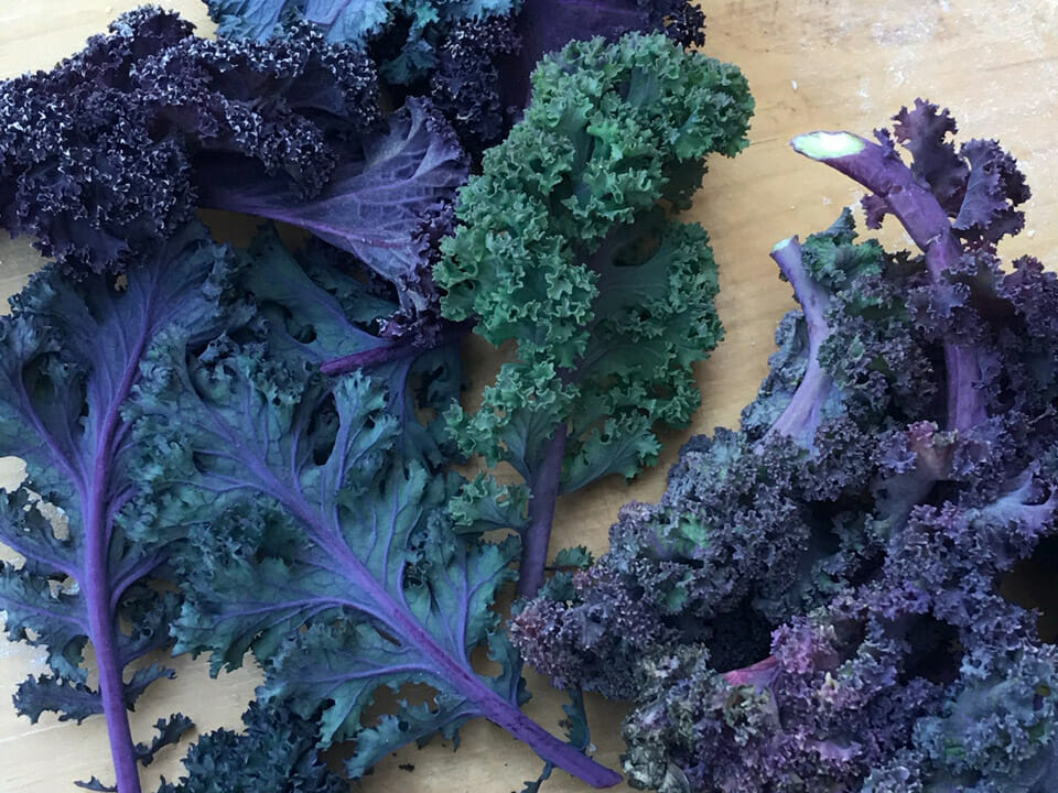 Kale with curly leaves, in multiple colors, on cutting board