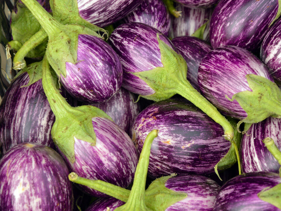 Closeup image small fairy tale eggplants with purple and white skin
