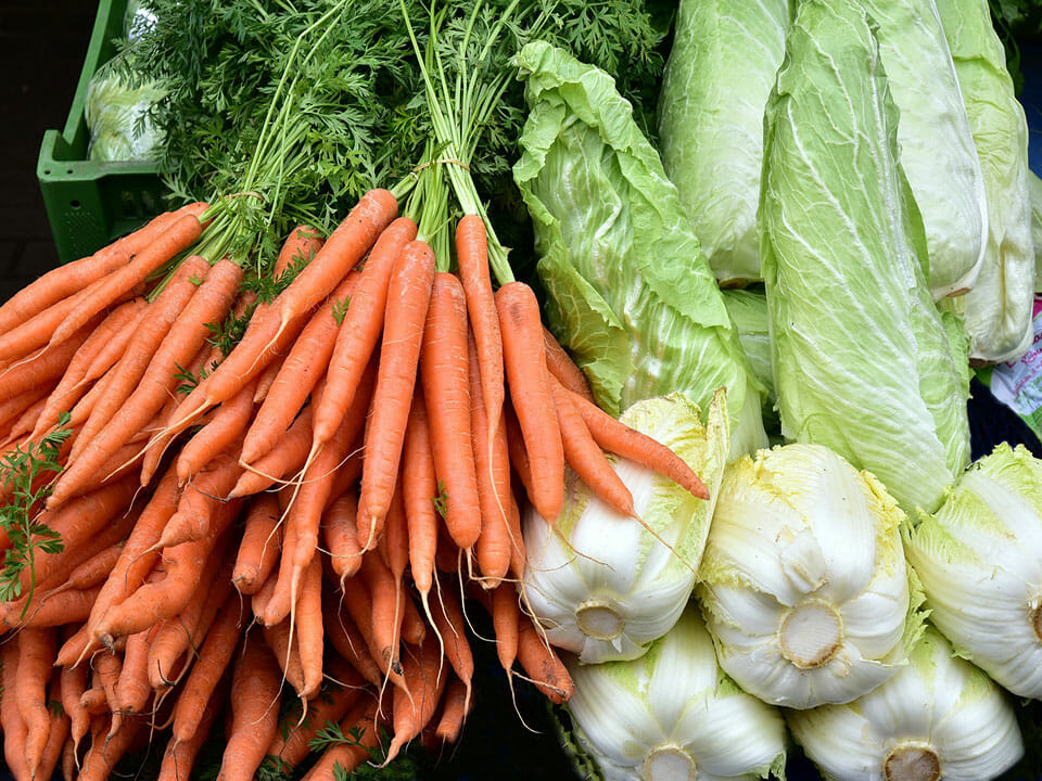 Yield of carrots, lettuce and cabbages