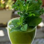 Kale leaf and stalk in glass with text: How to Grow Kale in a Greenhouse?