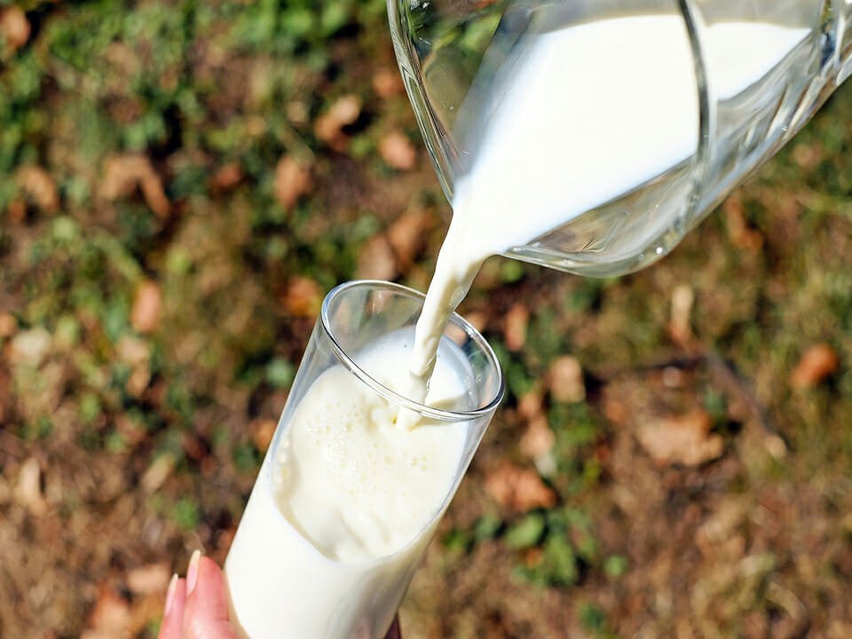 Glass of milk with pitcher of milk in front of nature background