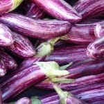 Purple striped eggplant with text: How to Grow Eggplants in Your Greenhouse?