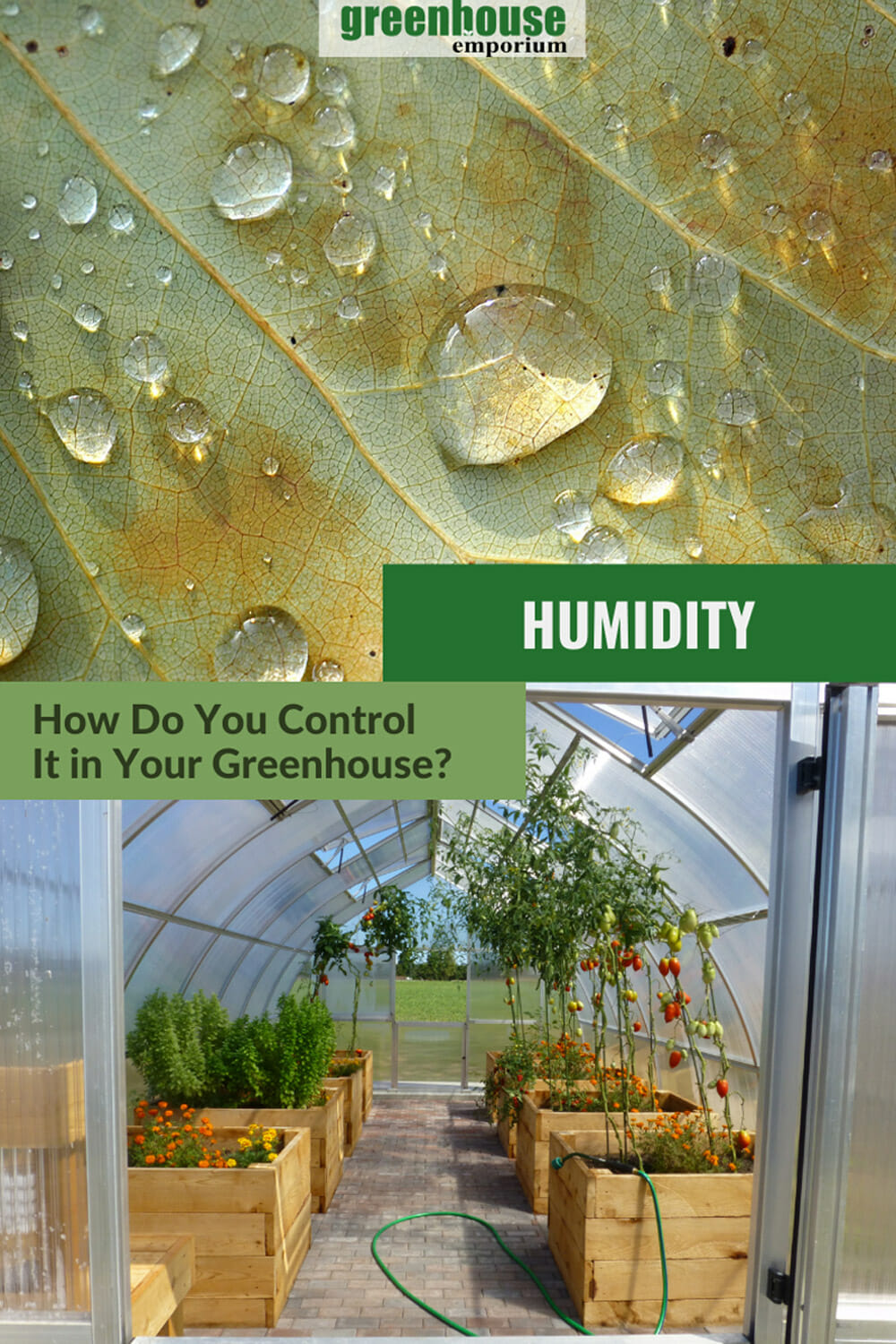 How To Control Humidity In A Greenhouse Greenhouse Emporium