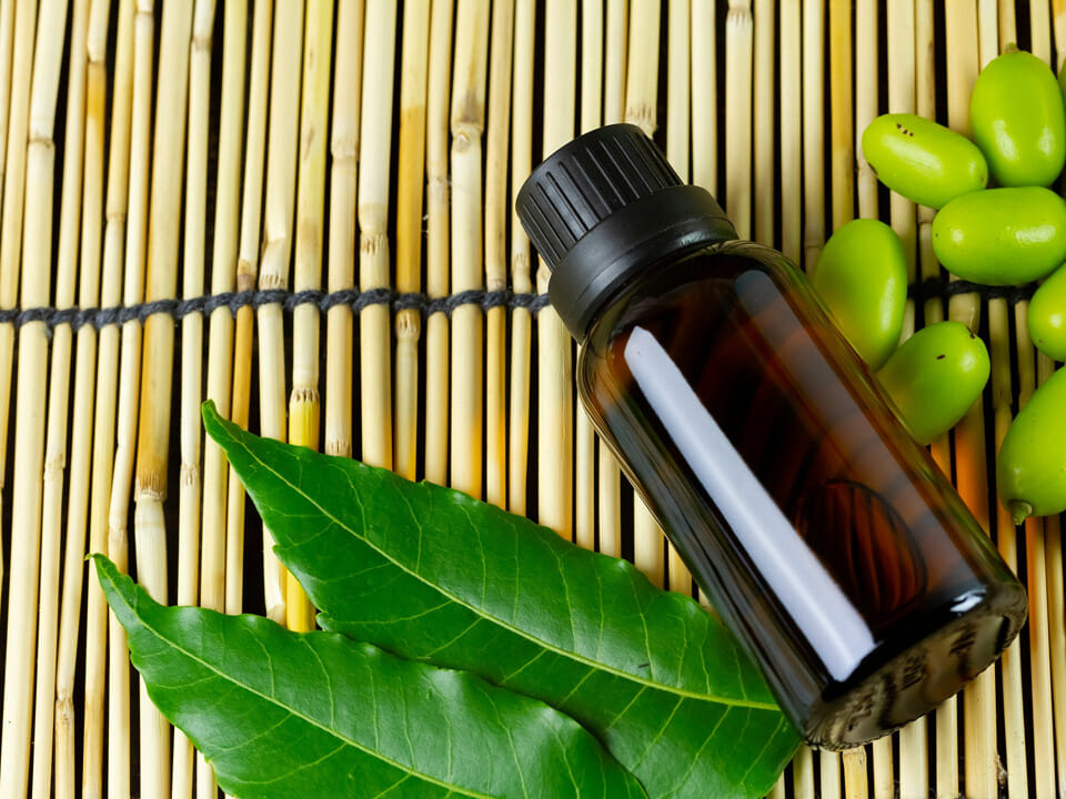 Leaves and seeds shown with brown glass bottle of essential oil on bamboo mat