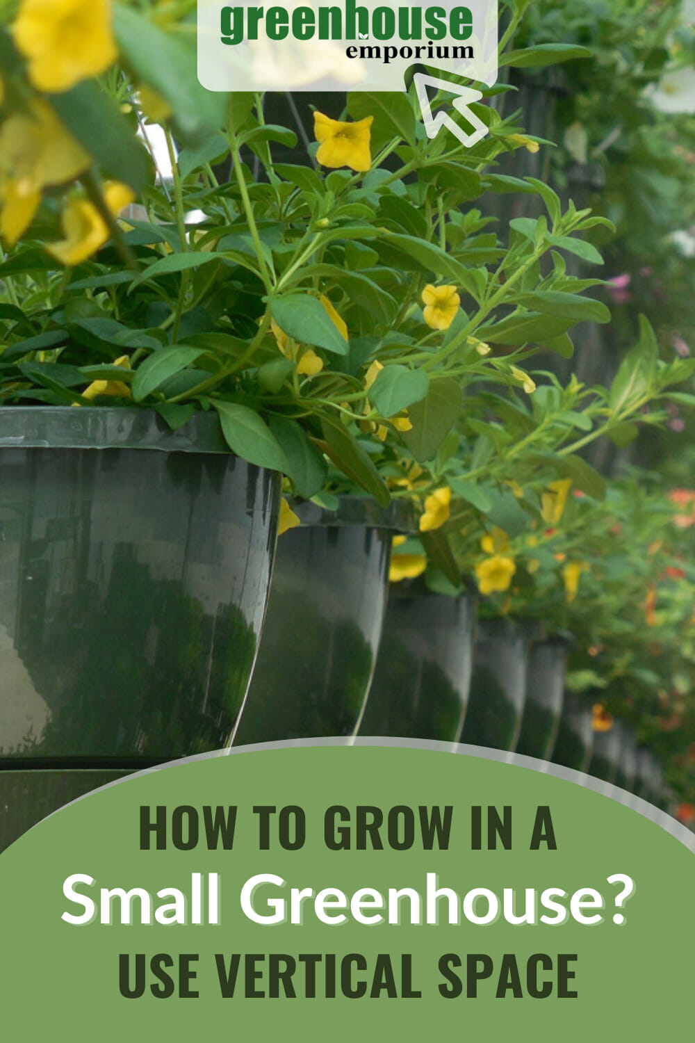 What To Grow In A Small Greenhouse Greenhouse Emporium