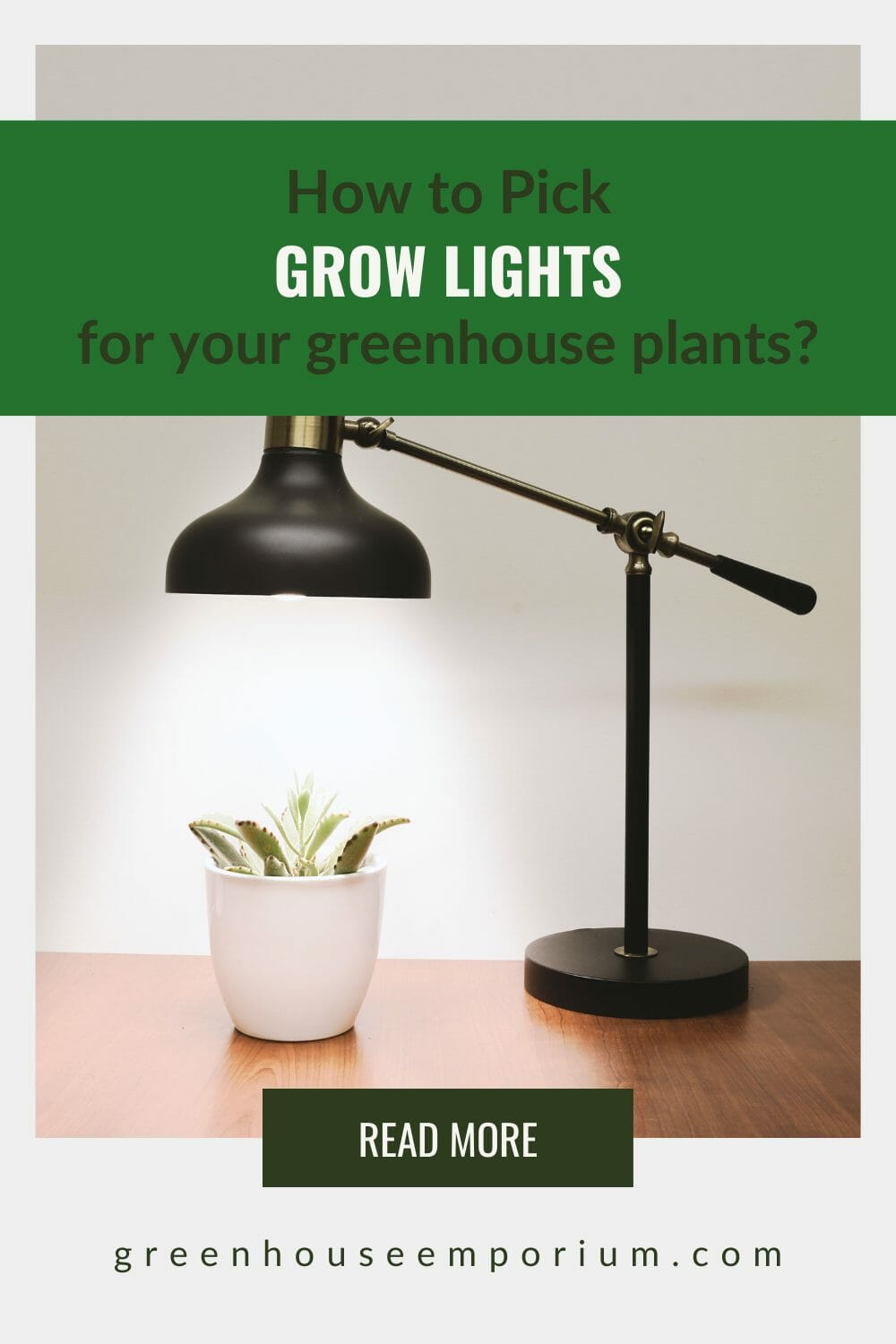 Single lamp over potted plant with text: How to Pick Grow Lights for your greenhouse plants?